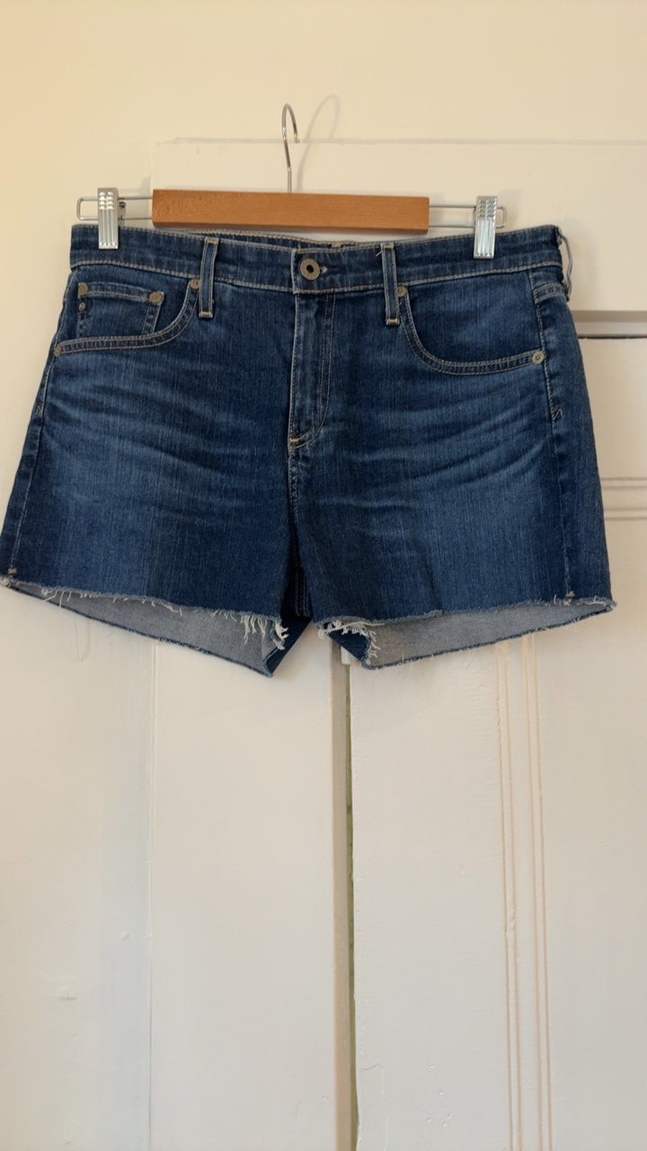 AG Shorts 28