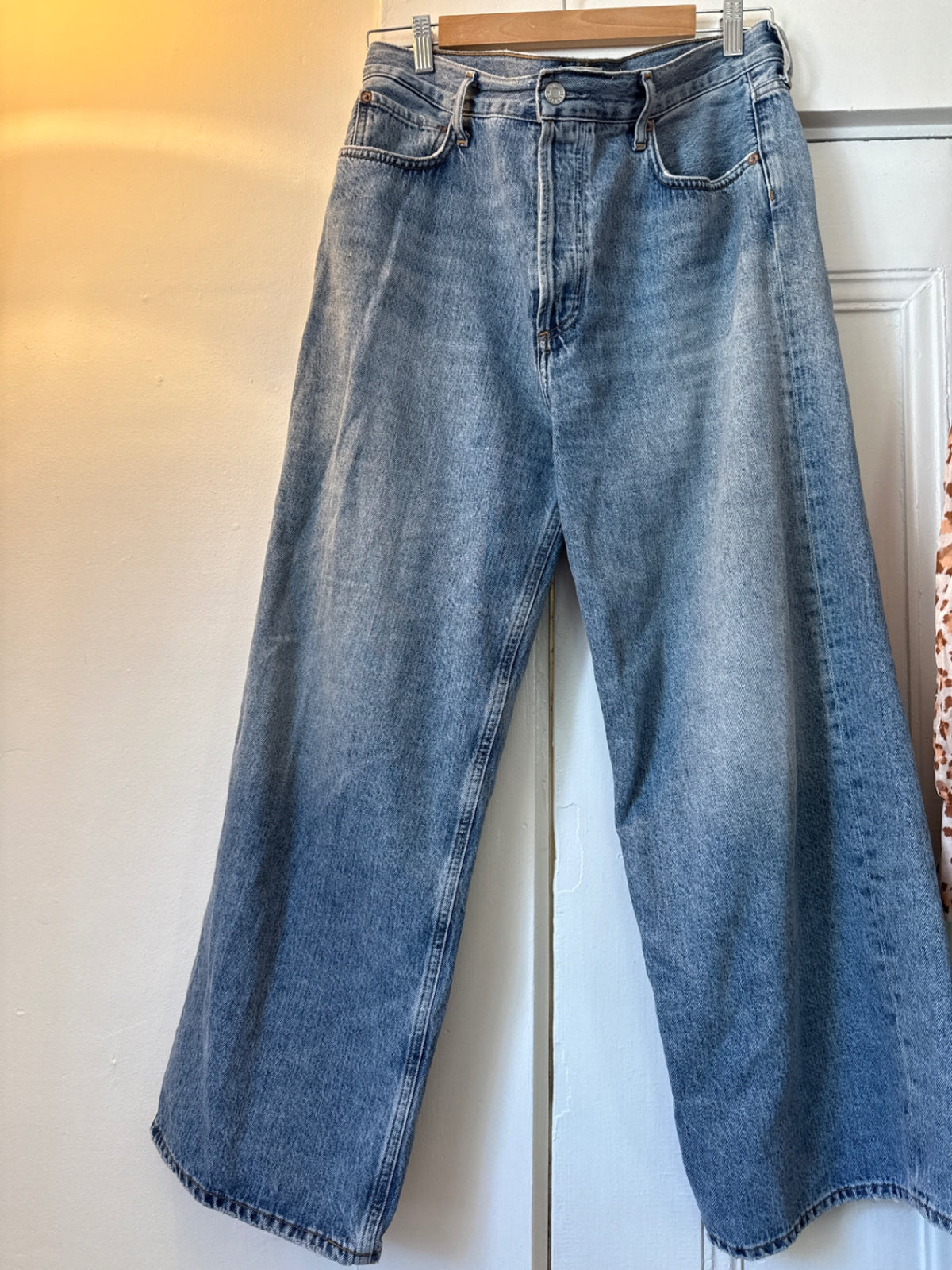 AGOLDE Pants 31 Very Good